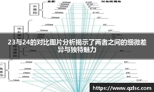 23与24的对比图片分析揭示了两者之间的细微差异与独特魅力